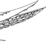 gene liner2