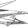 gene liner3