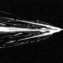 warp