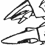 Battle Drone