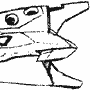 Struggle Diver