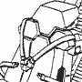 Wasp