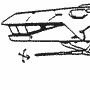 Stout Class