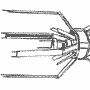 Hecatoncheir