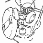 Probe