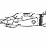 Ark