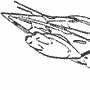 Ark