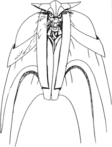 Commander Dohn