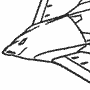 Starship Troopers