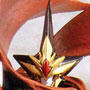 Super Robot Wars