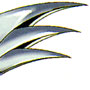 Super Robot Wars