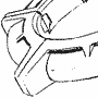 Super Robot Wars